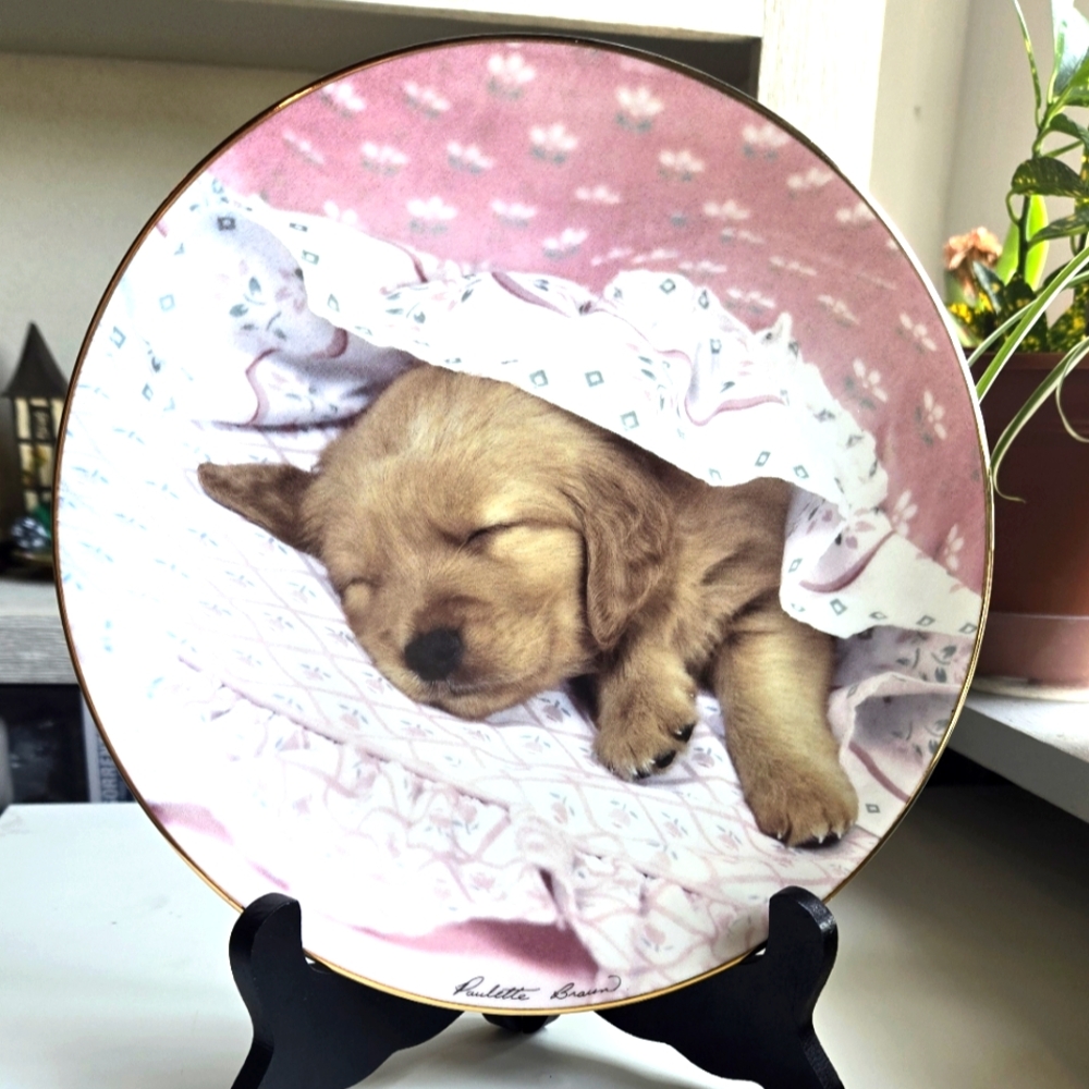 The Hamilton Collection - Do Not Disturb - Golden Puppy Portraits Plate No 0241A